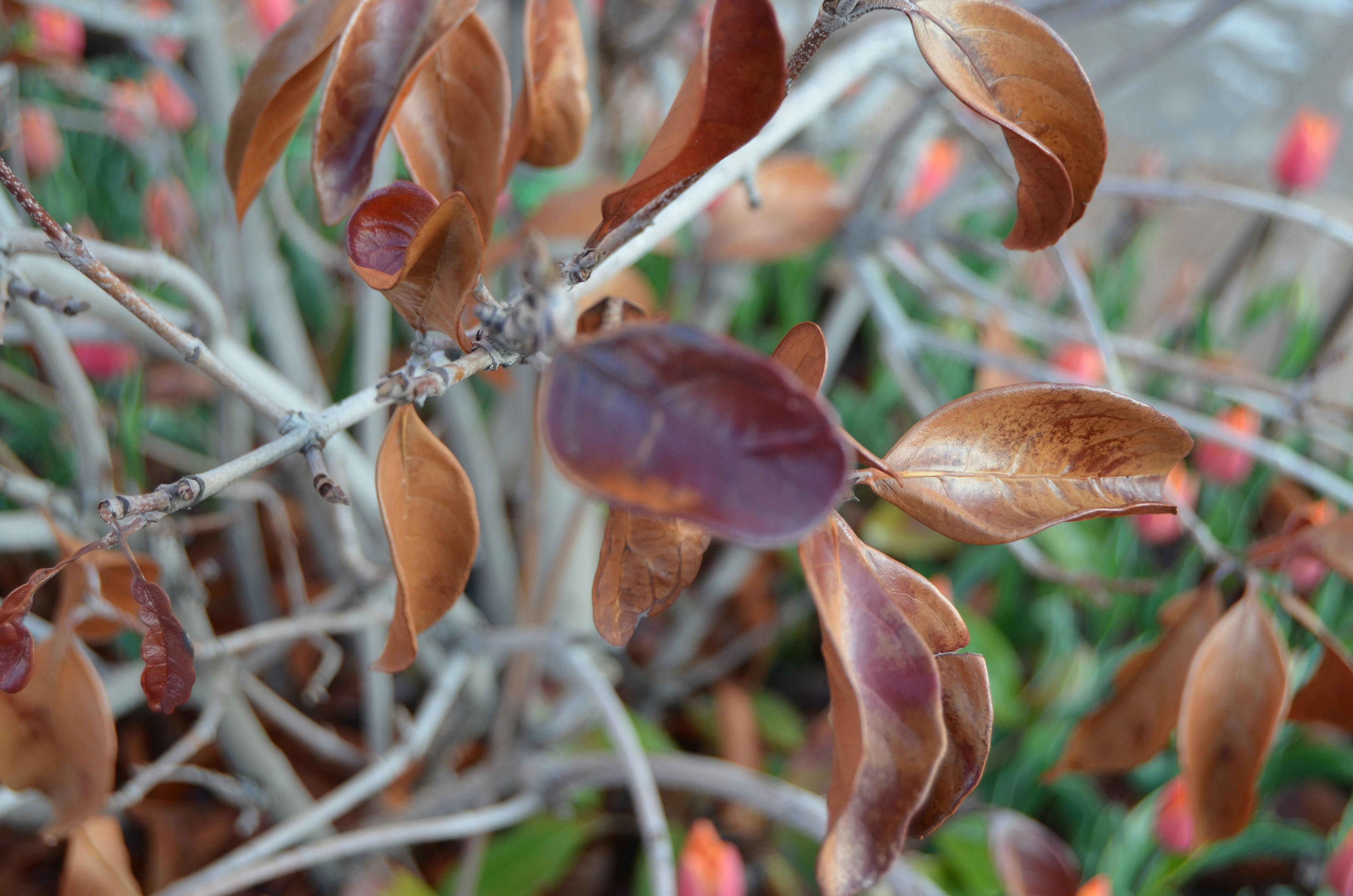 Infrared and Moisture Detection