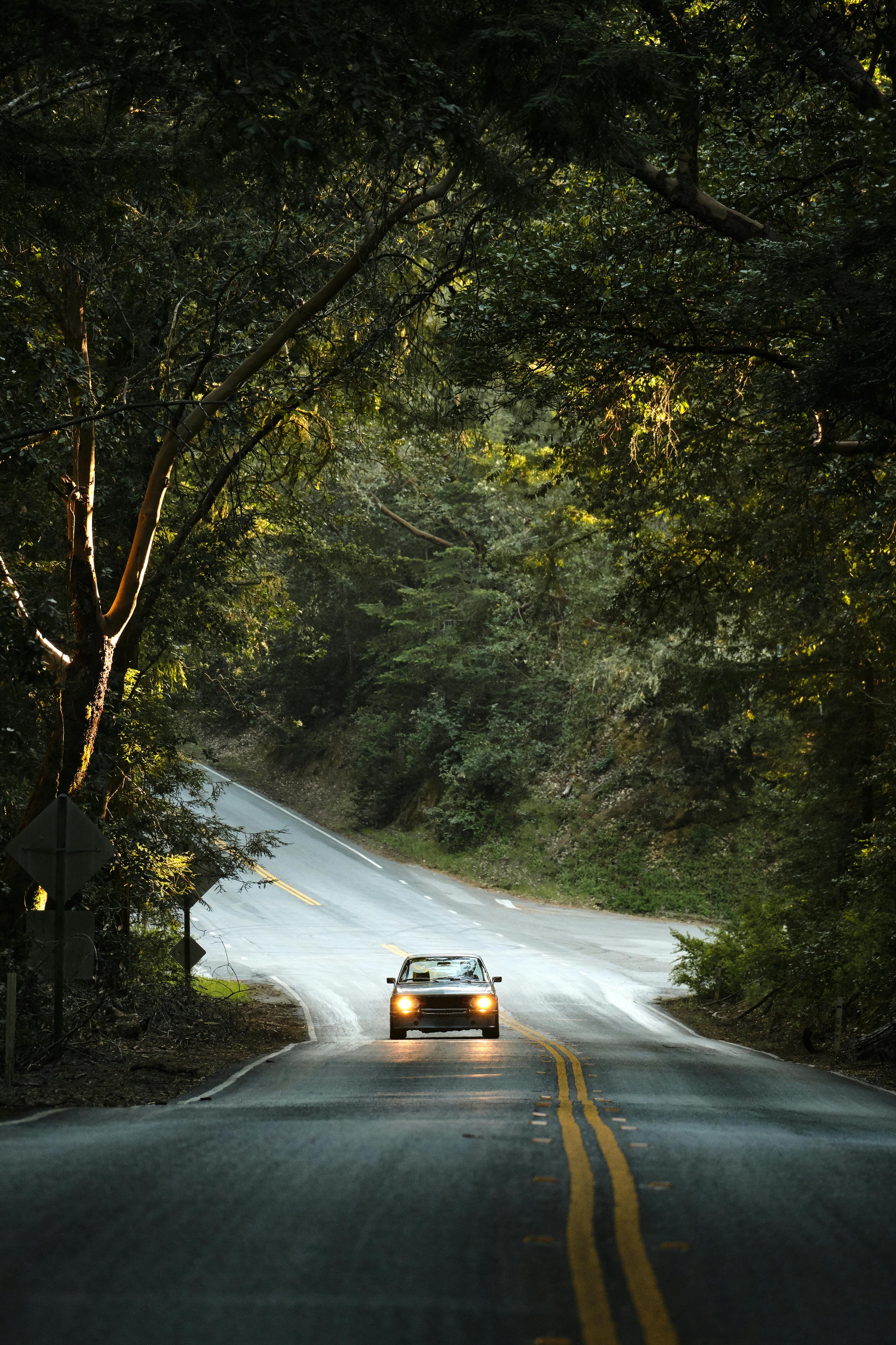 Car driving on a road. | Photo: Pexels