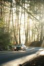 Vintage car riding on road in forest