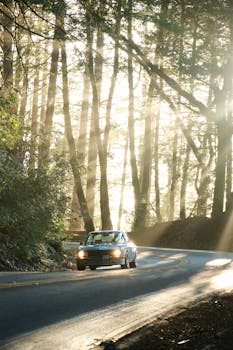 A vintage car drives through a sunlit forest road, surrounded by tall trees and sun rays.