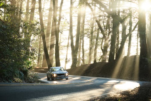 Car riding on road in forest in sunlight