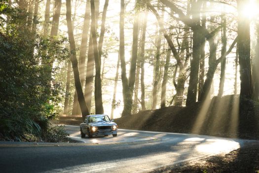Vintage car driving along asphalt road through forest trees in backlit while making turn