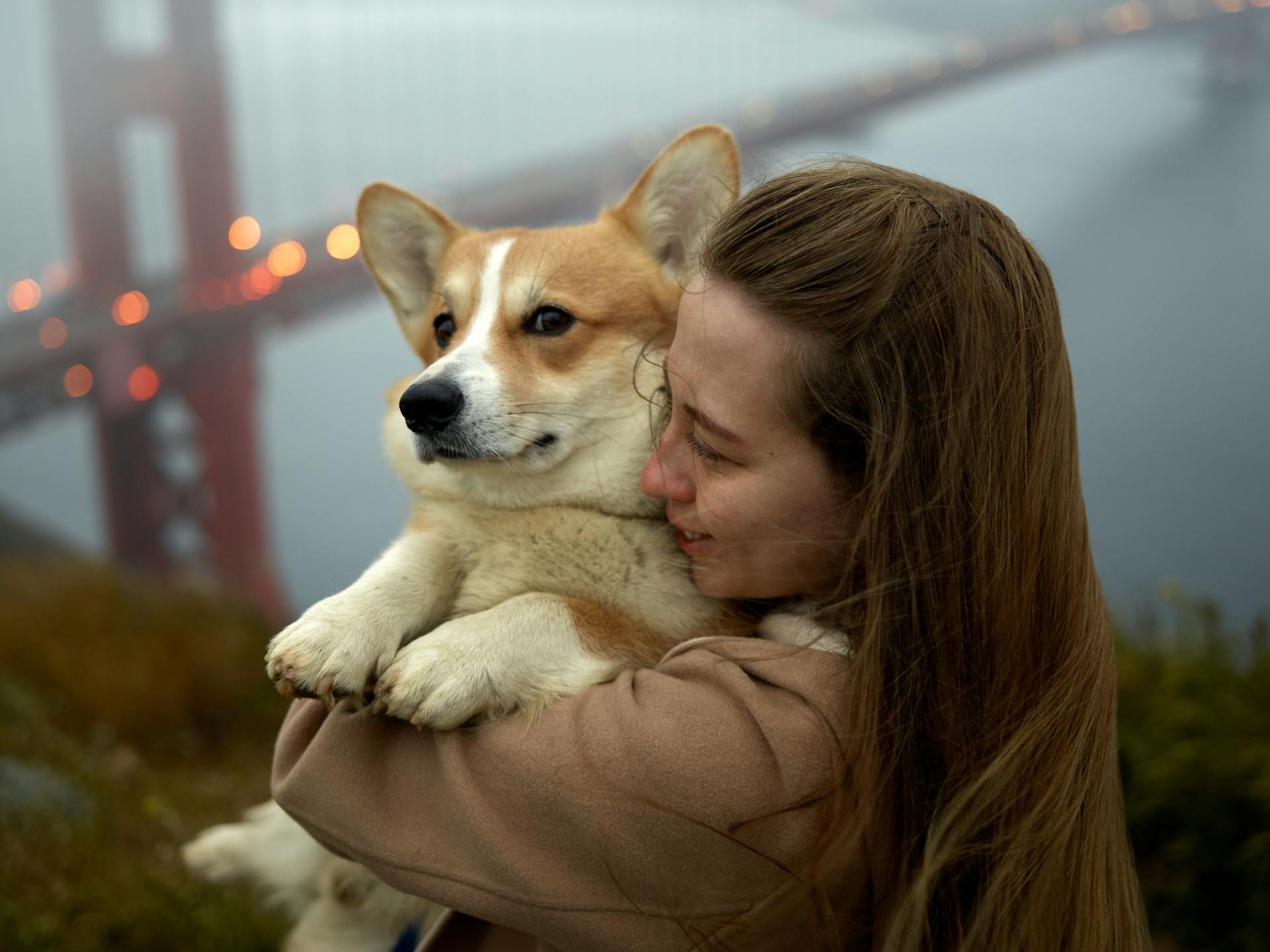 Une jeune femme embrasse un adorable corgi lors d'une promenade matinale