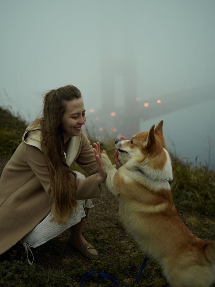 Young Happy Lady Playing With Cute Corgi On Misty Day