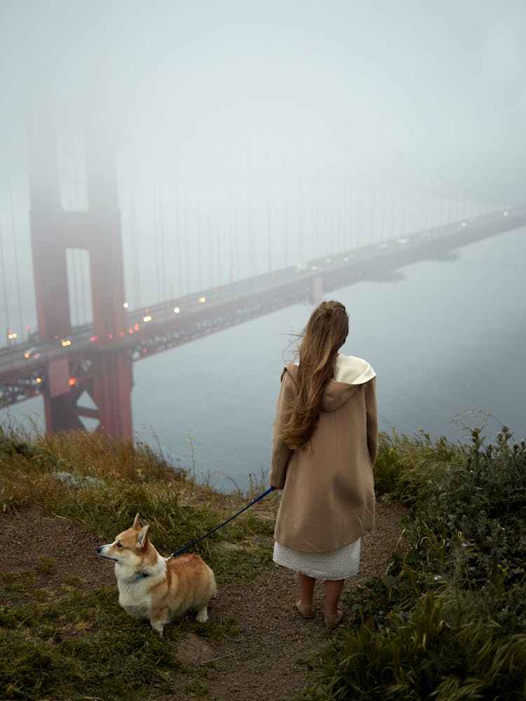 Anonymous Woman With Corgi On Lead Admiring Golden Gate Bridge