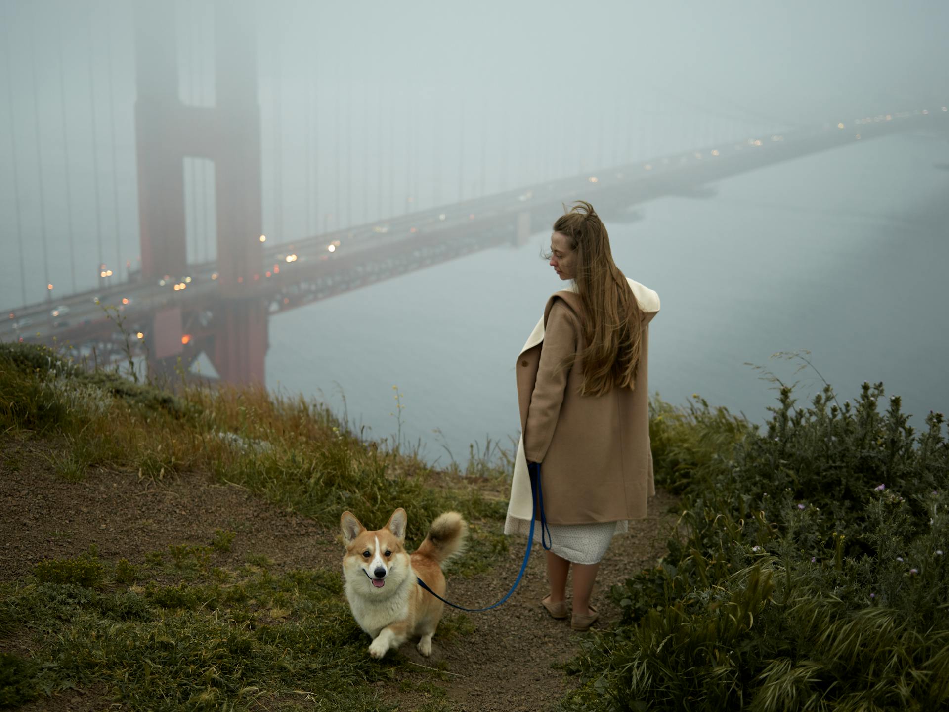 Back view of female in coat leading Pembroke Welsh Corgi on leash while strolling on hillside near bushes and city bridge over river in fog