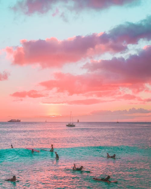 People Swimming in Sea during Sunset