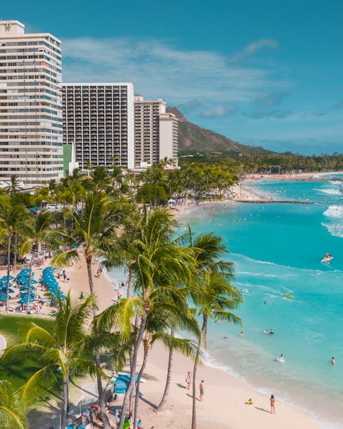 High Rise Buildings Near Beach