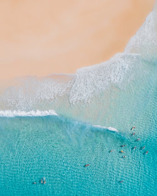 Aerial View of People on Beach · Free Stock Photo