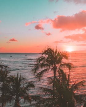 Stunning Hawaiian sunset with palm trees and ocean view in Waikiki.