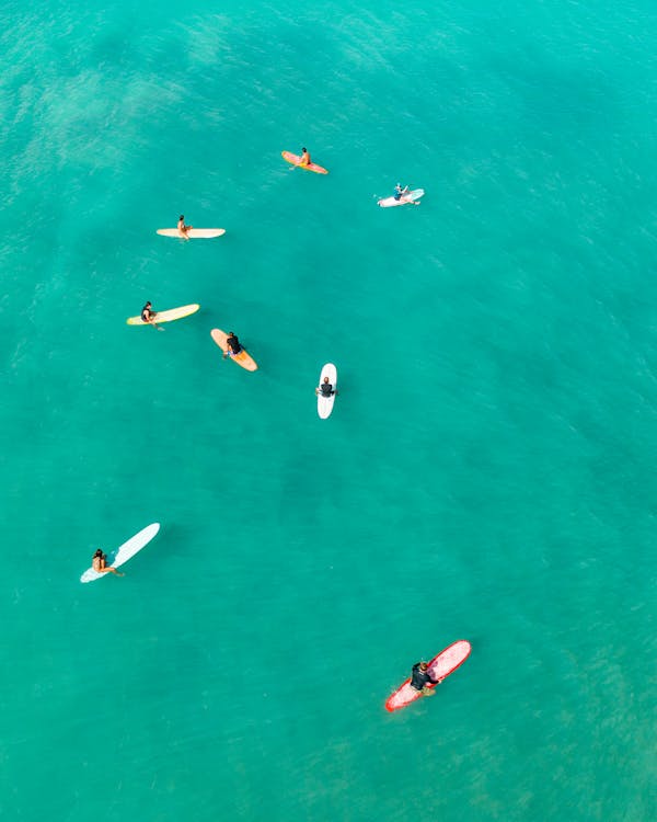 Aerial View of People Surfing on Sea · Free Stock Photo