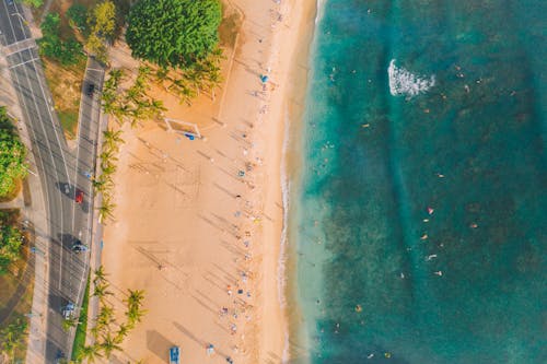 Aerial View of People on Beach