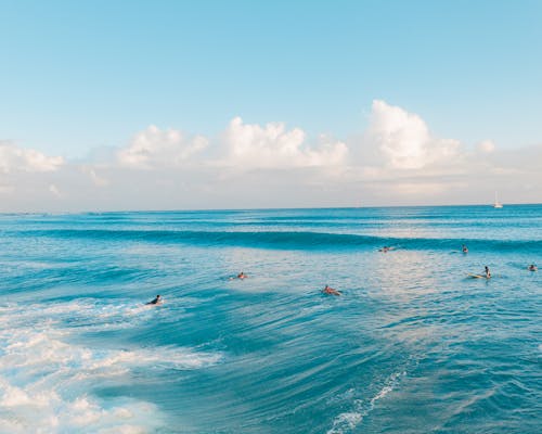 People Surfing on Sea