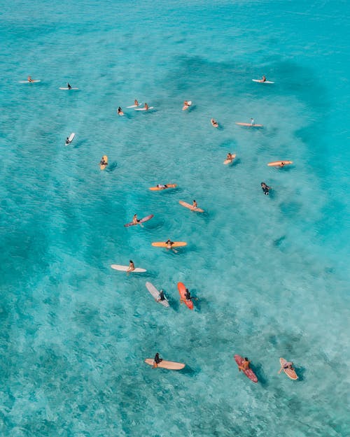 People Swimming on Sea