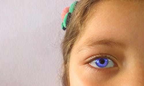 Gratis stockfoto met blauwe ogen, oog