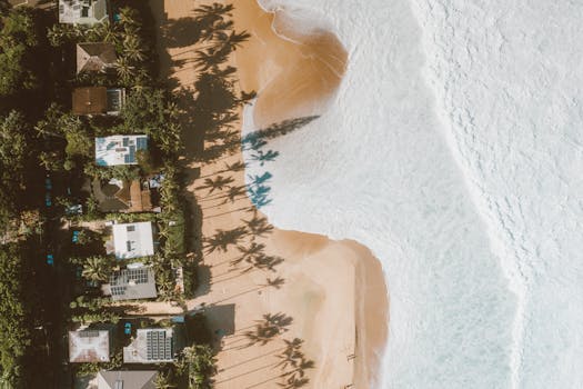 Photo by Jess Loiterton A stunning aerial view of Waialua, HI beach with palm tree shadows and crashing waves.