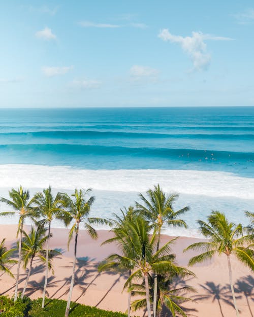 Gratis lagerfoto af bølger, havudsigt, hawaii