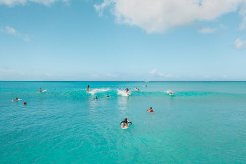 People Swimming in Sea