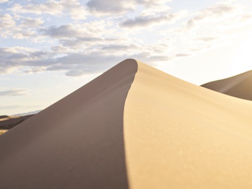 Sandy dunes in dry desert under bright sky