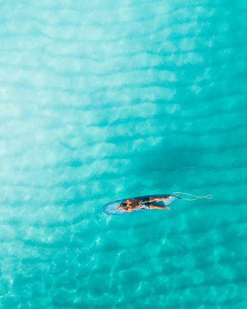 A Person Resting on a Surfboard Floating on the Water