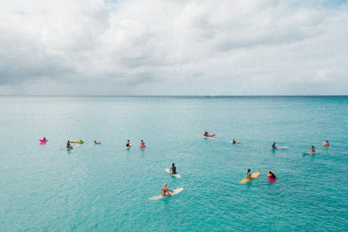 People in Body of Water