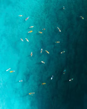 Stunning aerial shot of surfers in the turquoise waters of Hawaii, showcasing island life.