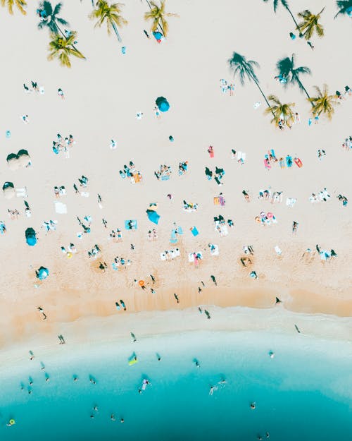 Gratis Fotos de stock gratuitas de amantes de la playa, árboles de palma, azul Foto de stock