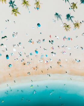 Stunning aerial shot of Waikiki Beach with palm trees and beachgoers enjoying the sun and sea.
