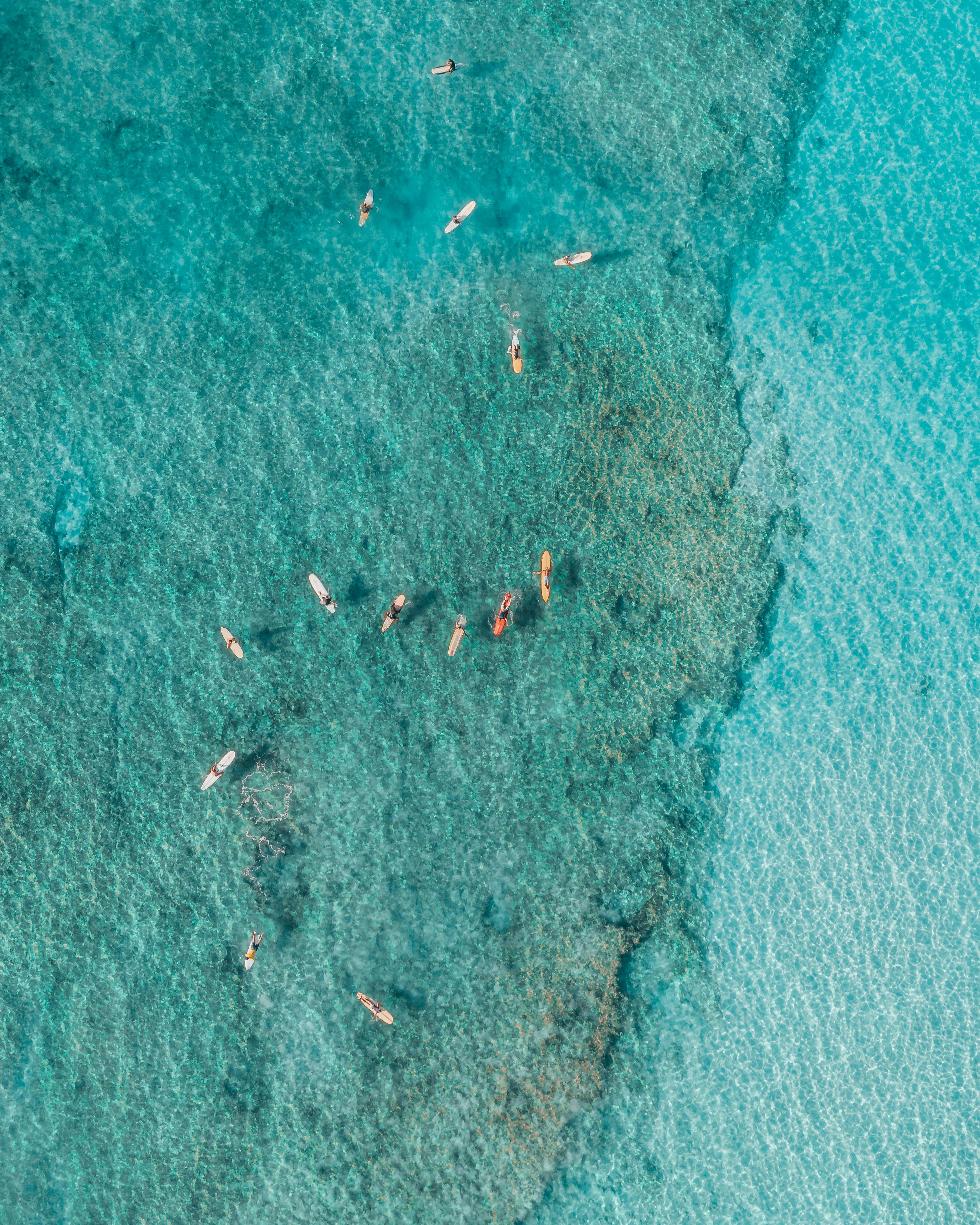 航拍照片中，冲浪者在清澈碧绿的海水中驰骋，展现了夏季海滩的活力