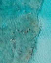航拍照片中，冲浪者在清澈碧绿的海水中驰骋，展现了夏季海滩的活力