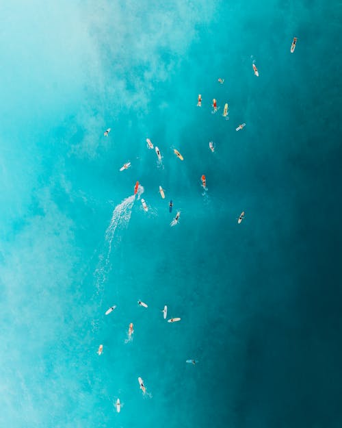 People Swimming in the Sea