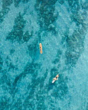 Aerial view of surfers on turquoise waters in Hawaii, showcasing vibrant ocean life.