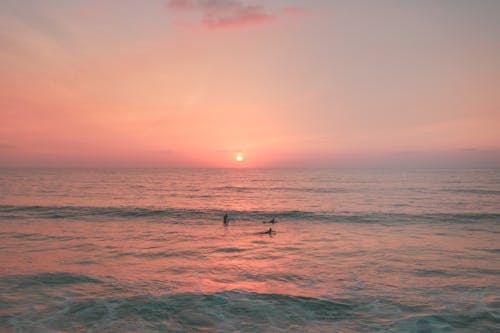 Photos gratuites de faire du surf, faire signe, lever de soleil
