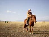 Senior Asian horseman wearing national cloth riding brown horse near green tractor in prairie with dried yellow grass and distant mountains in haze under clear blue sky
