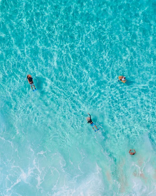 People Swimming in the Sea