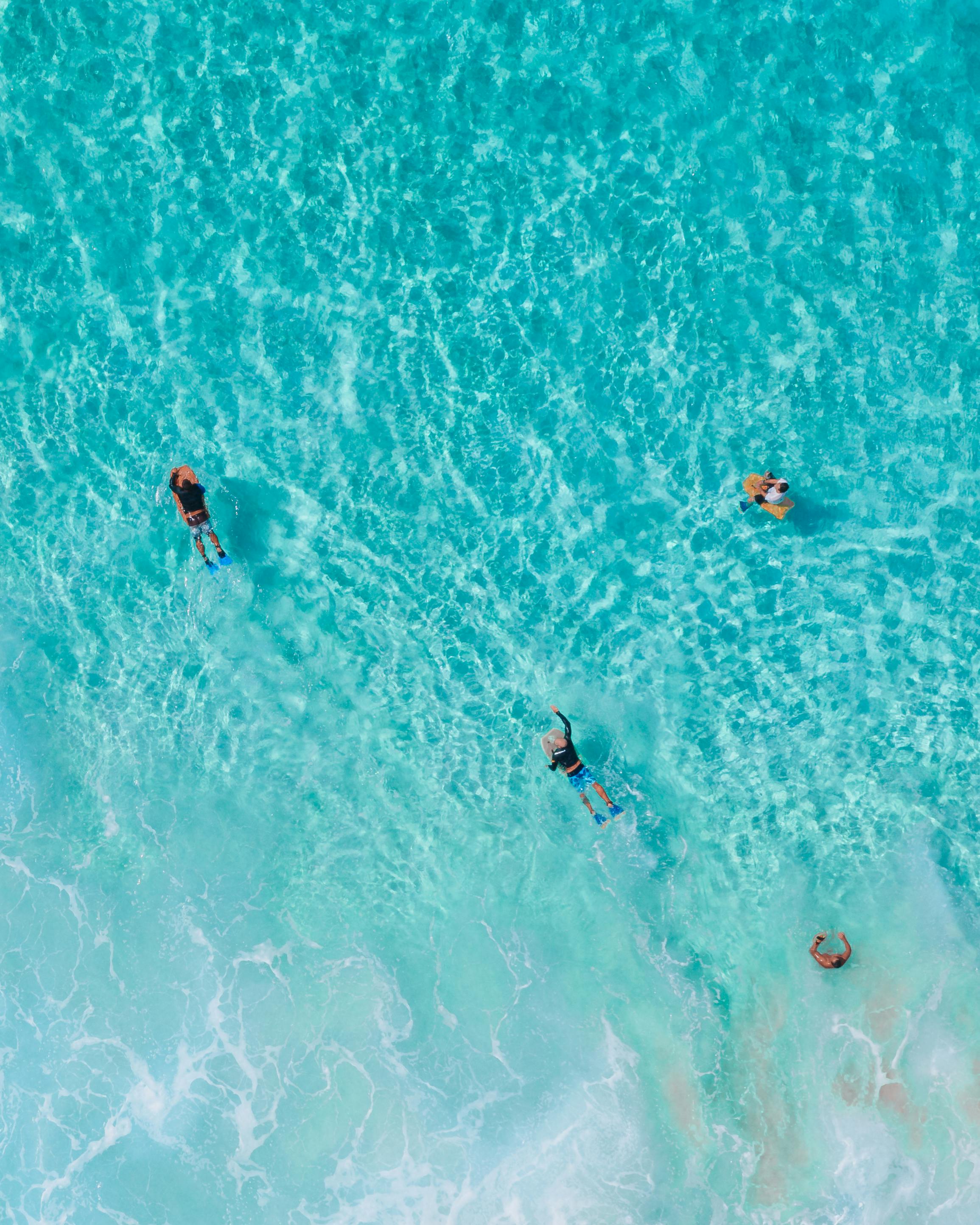 People Swimming in the Sea · Free Stock Photo