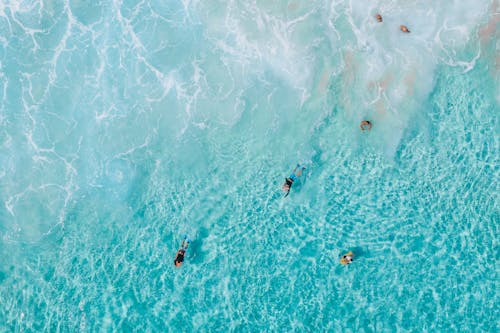 Free People Swimming in the Sea Stock Photo