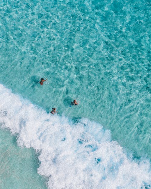 Free People Swimming on Sea Waves Stock Photo