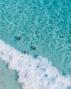 夏威夷檀香山的游泳者在碧绿海水和海浪中畅游的空中镜头