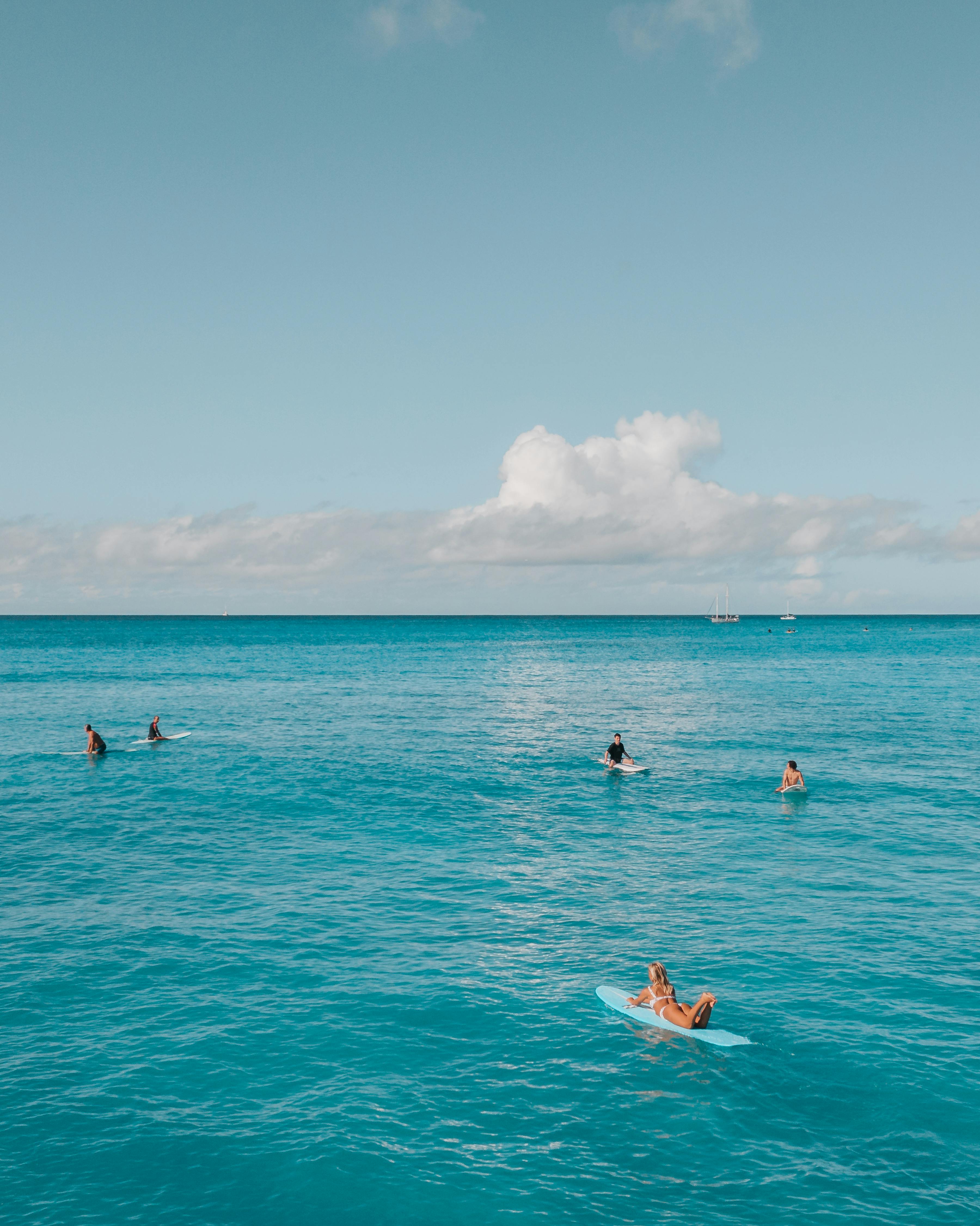 people in body of water