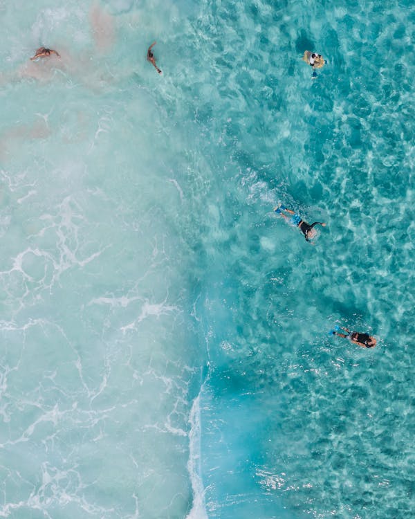 People Swimming in the Sea