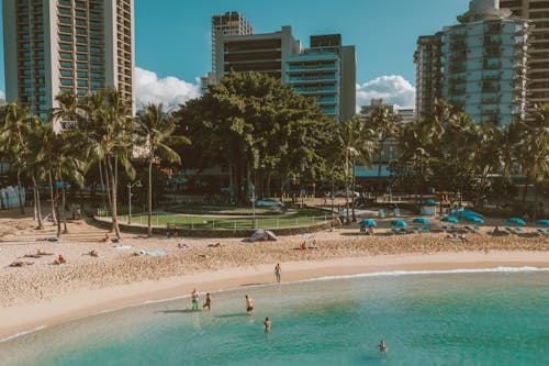 假期, 夏天, 夏威夷 的 免费素材图片