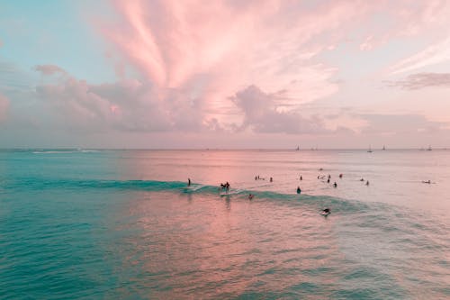 Gratuit Photos gratuites de été, faire du surf, hawaï Photos