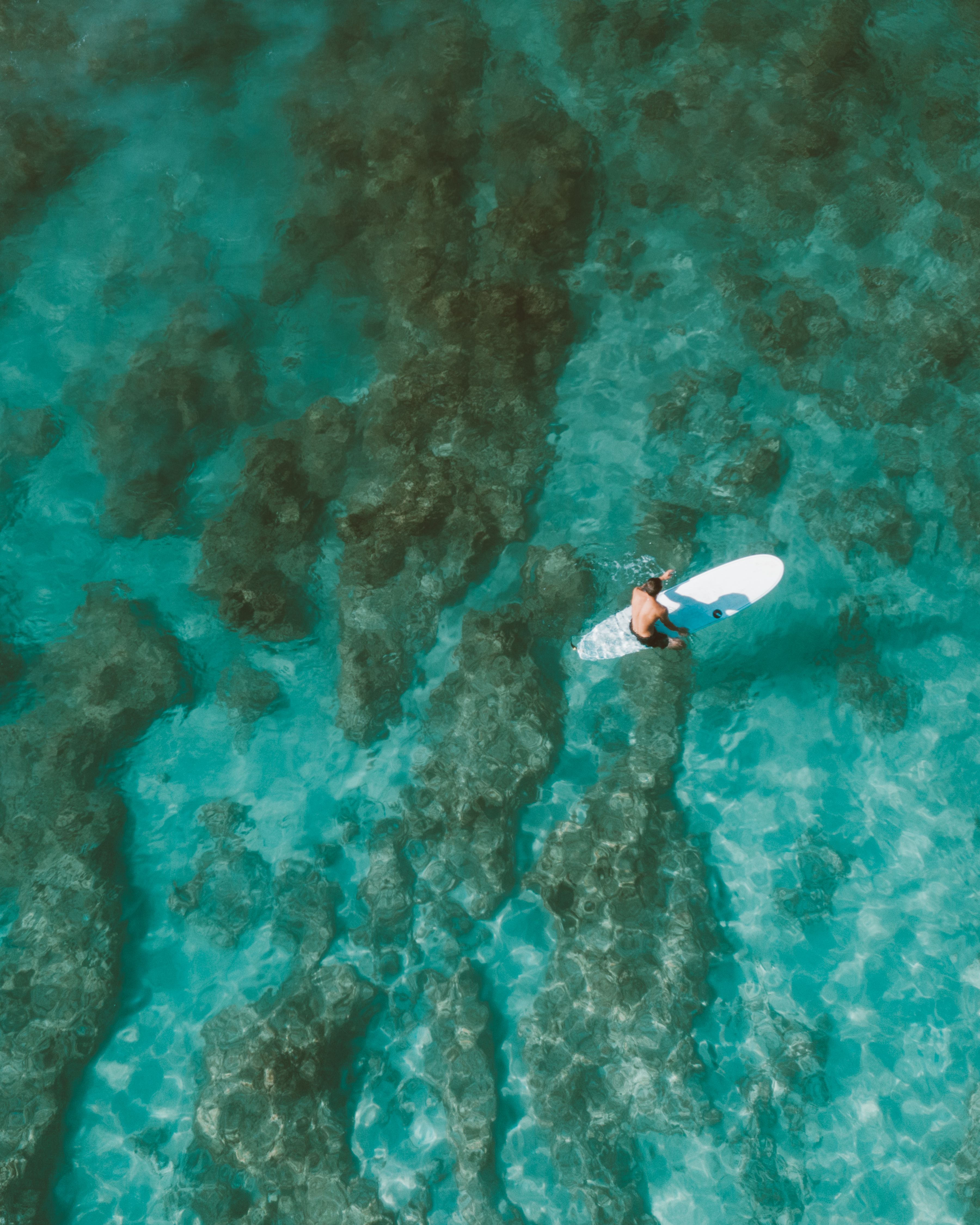 Man in White Shirt and Black Shorts in Water · Free Stock Photo
