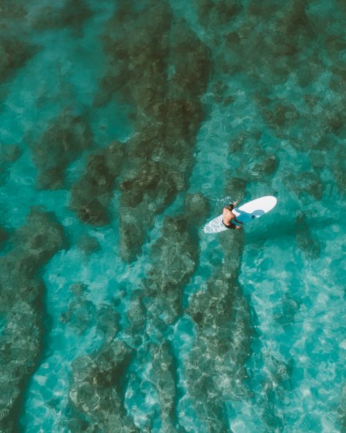 Free Lone surfer paddling over a vibrant coral reef in Hawaii. Stock Photo