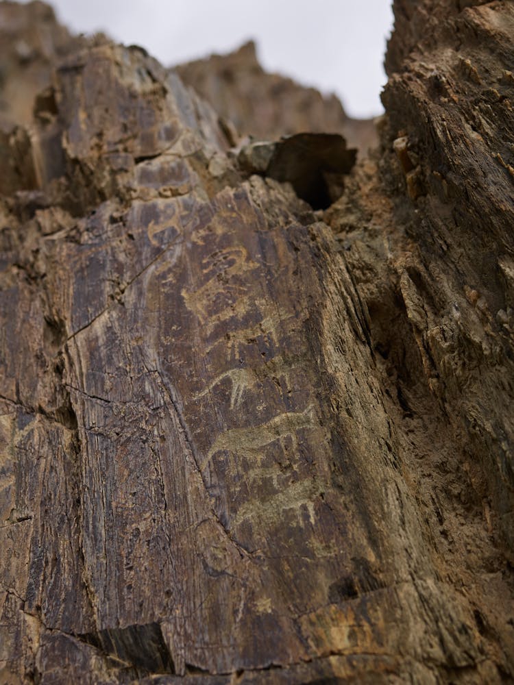 Old Cave Drawings Of Animals