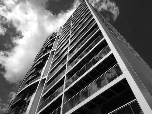 무료 고층 빌딩의 그레이 스케일 사진 스톡 사진