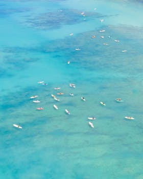 Stunning aerial shot of surfers enjoying the crystal-clear waters off the coast of Hawaii.