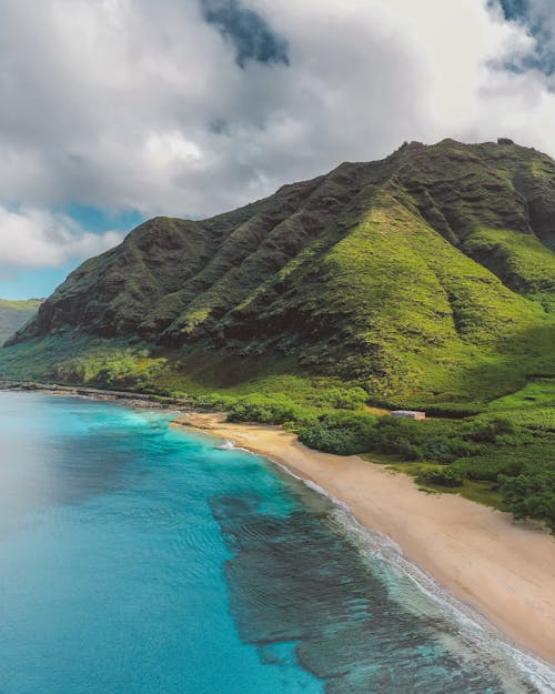 シースケープ, ハワイ, 垂直ショットの無料の写真素材