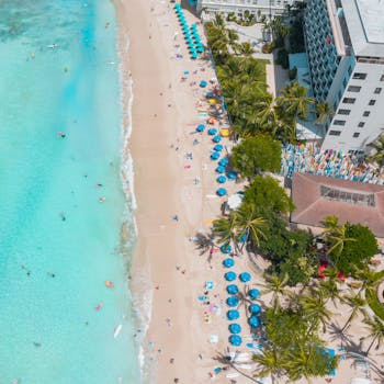 Stunning aerial shot of Waikiki Beach with turquoise waters, umbrellas and palm trees in Honolulu, Hawaii.